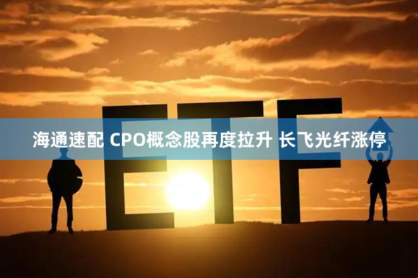 海通速配 CPO概念股再度拉升 长飞光纤涨停
