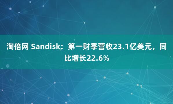 淘倍网 Sandisk：第一财季营收23.1亿美元，同比增长22.6%